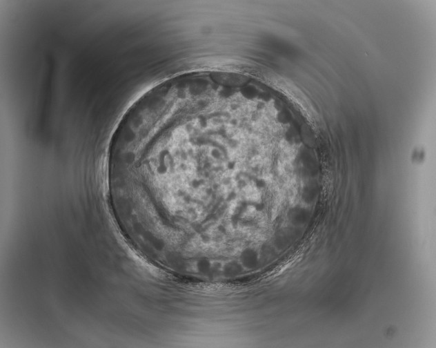 X0000097601079200803211654