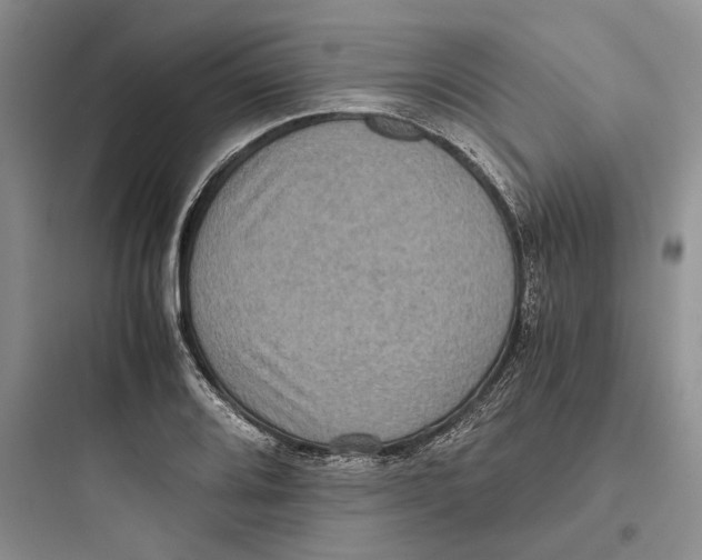X0000097601080200803211654