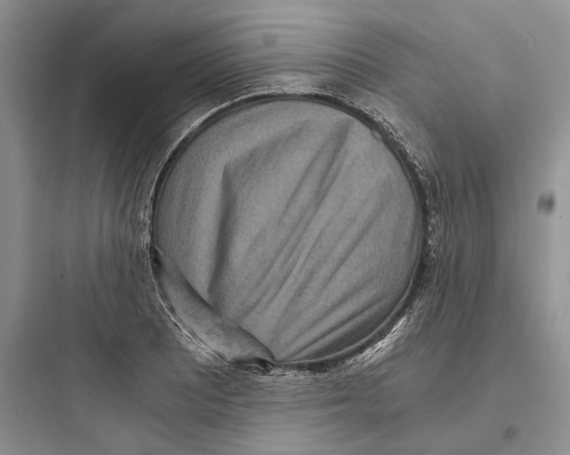 X0000097601081200803211654