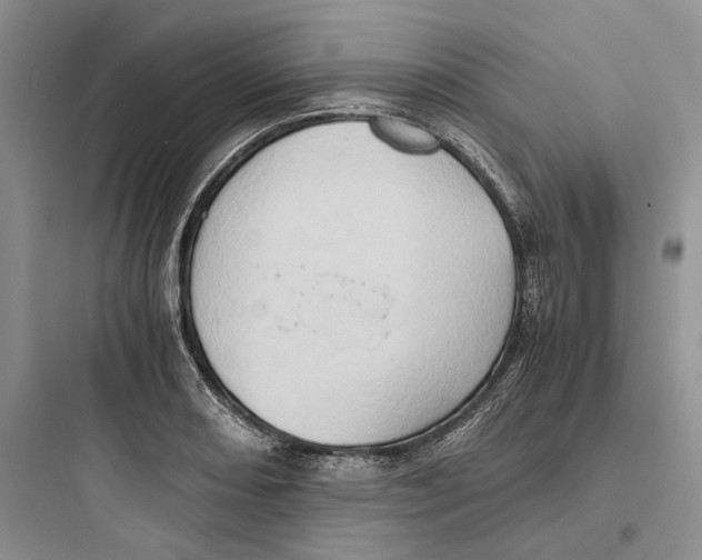 X0000097601082200803211654