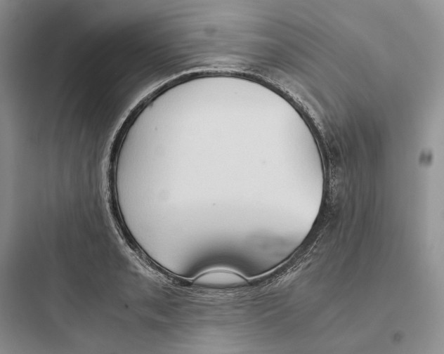 X0000097601085200803211654
