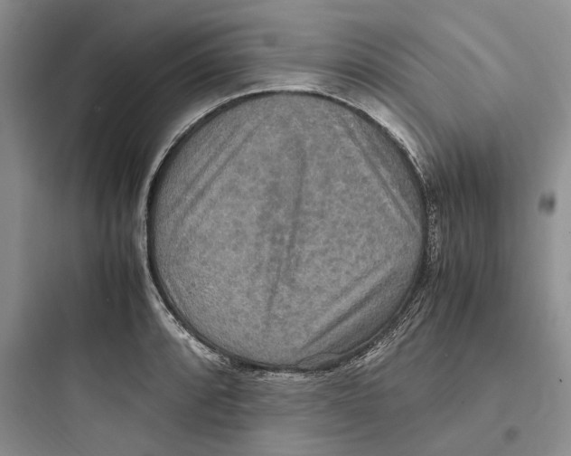 X0000097601088200803211654