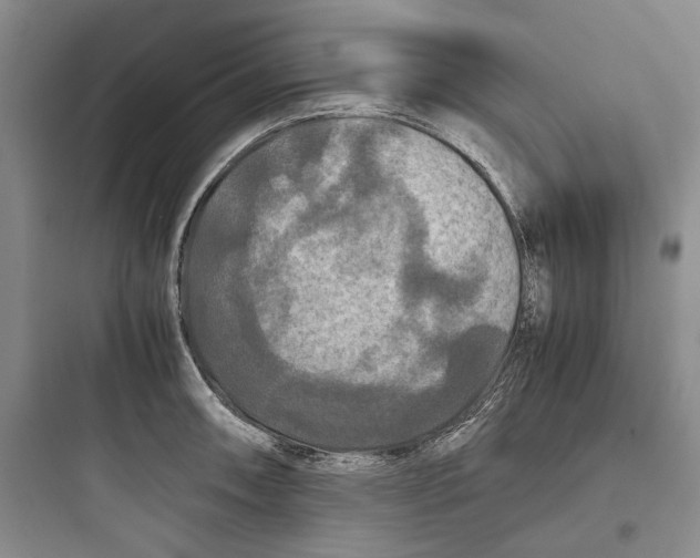 X0000097601090200803211654