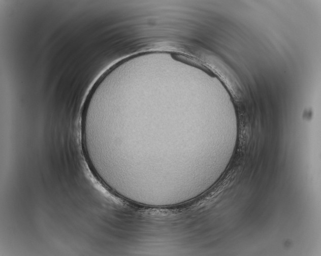 X0000097601092200803211654