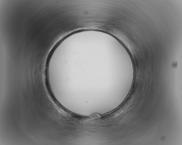 X0000097601093200803211654