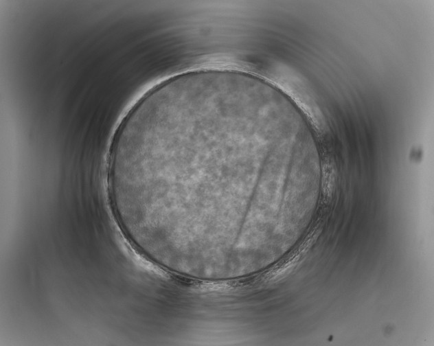 X0000097601094200803211654