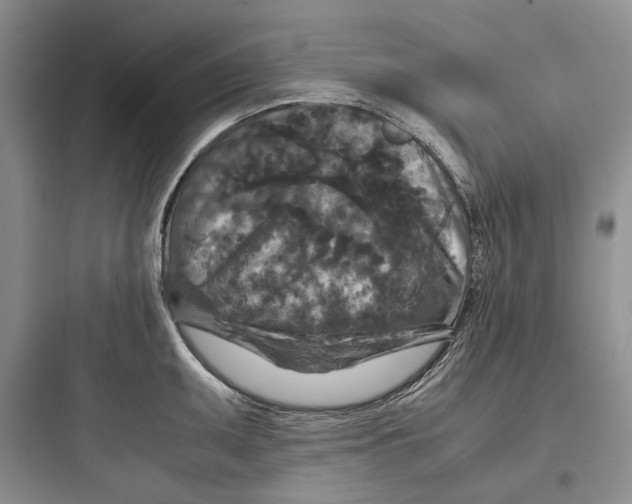 X0000097601095200803211654