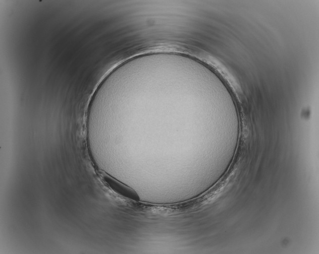 X0000097601097200803211654