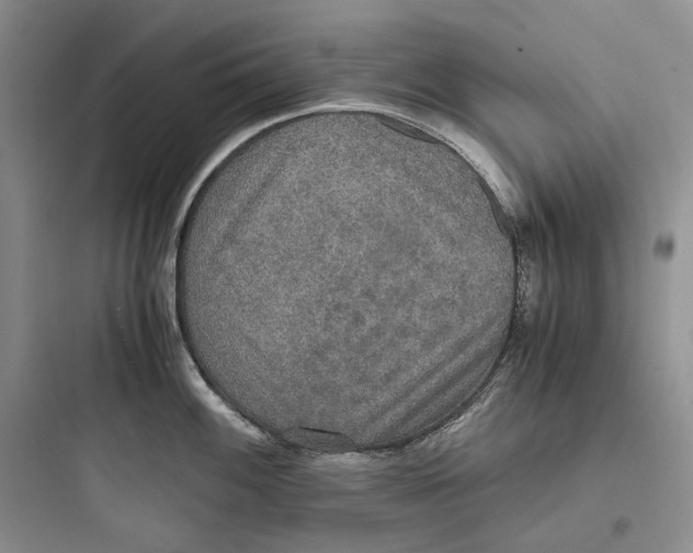 X0000097601100200803211654