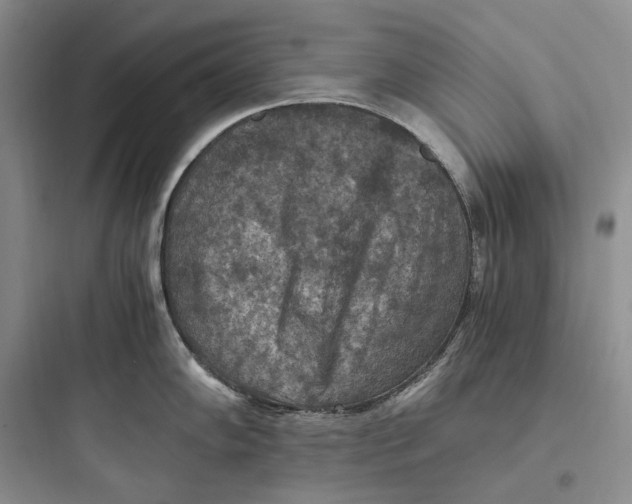 X0000097601102200803211654