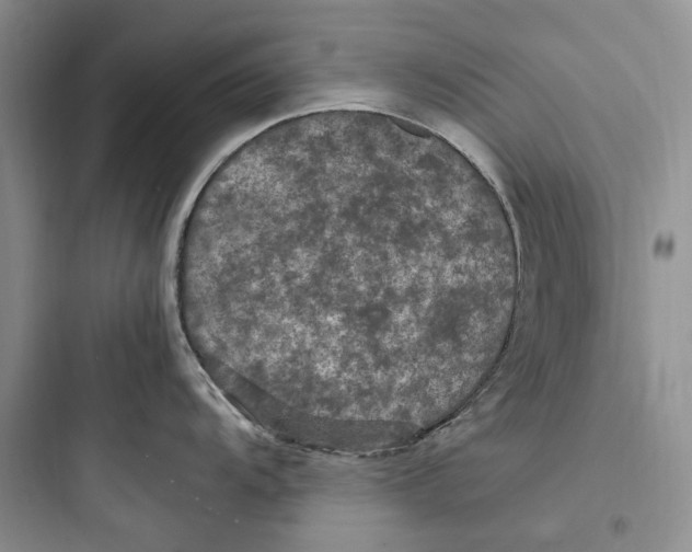 X0000097601104200803211654