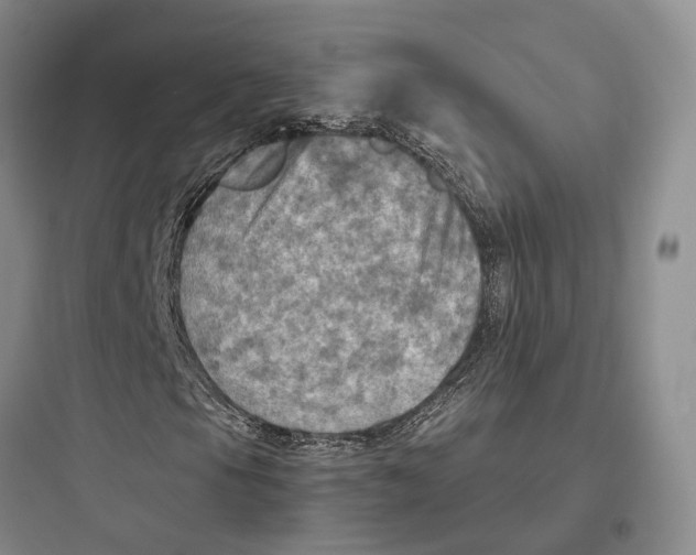 X0000097601105200803211653