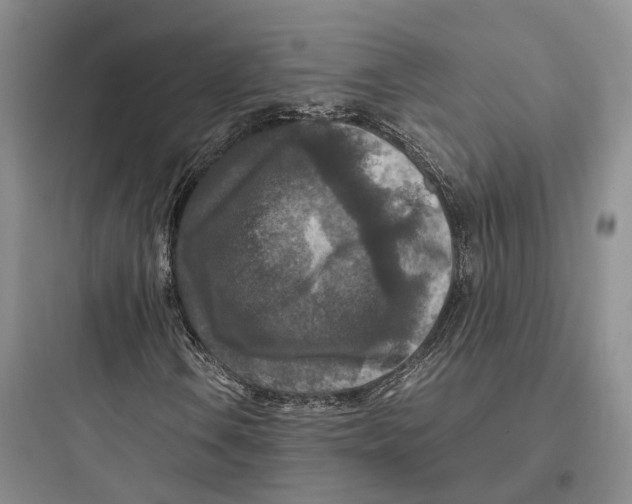X0000097601106200803211653