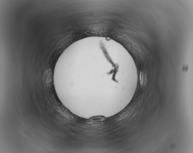 X0000097601107200803211653