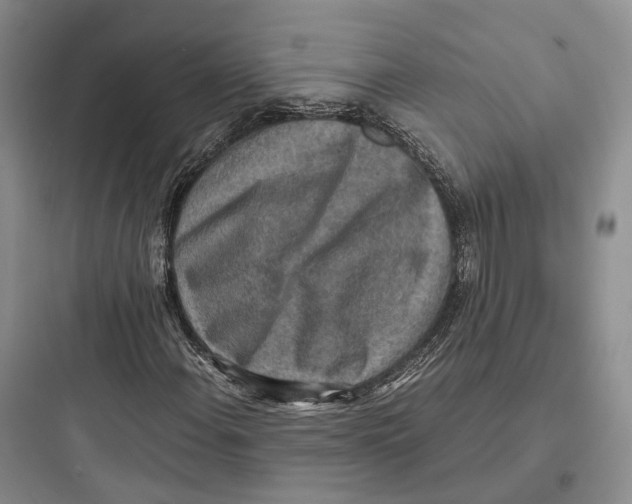 X0000097601108200803211653
