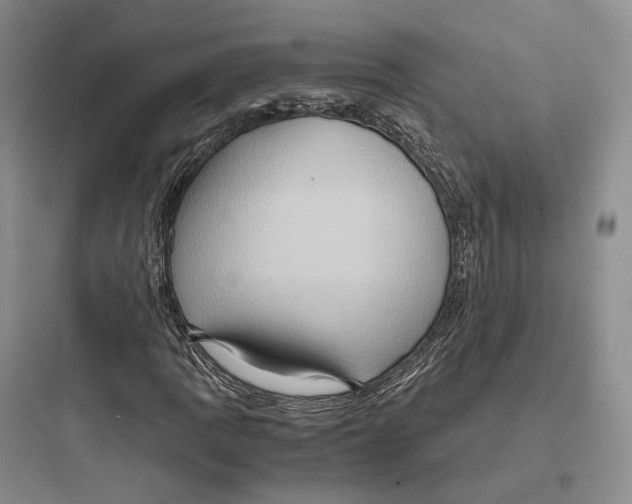 X0000097601109200803211653