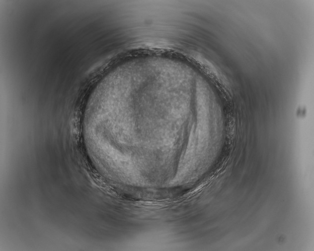 X0000097601110200803211653
