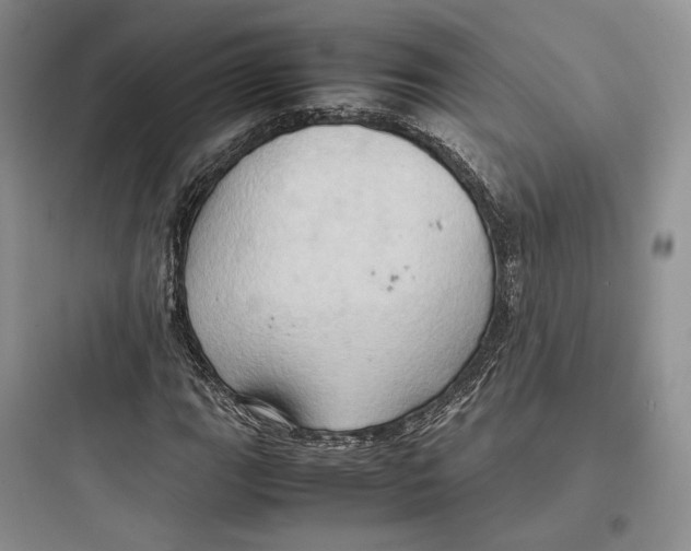 X0000097601111200803211653