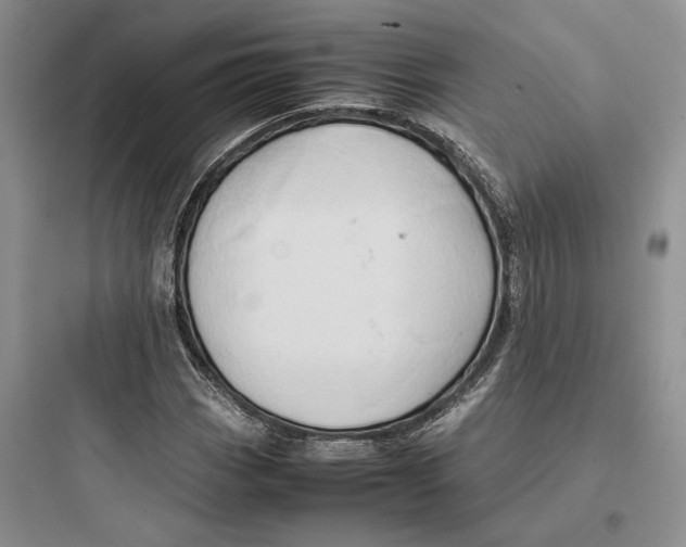 X0000097601113200803211653