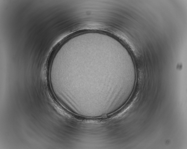 X0000097601114200803211653