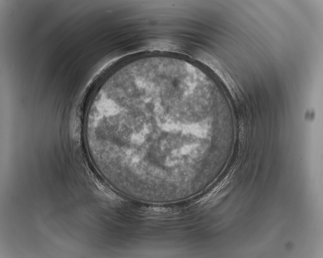 X0000097601115200803211653