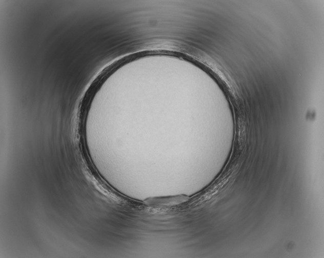 X0000097601116200803211653