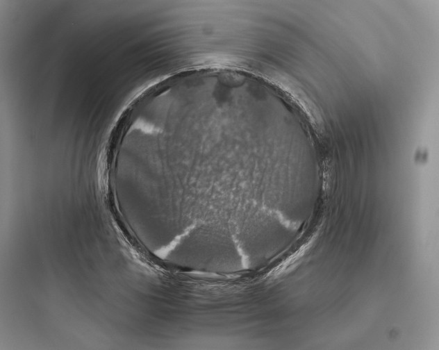 X0000097601117200803211653