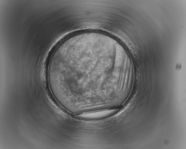 X0000097601118200803211653