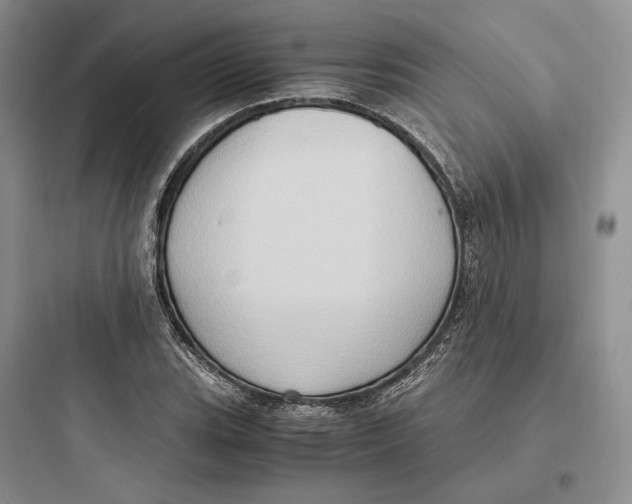 X0000097601119200803211653