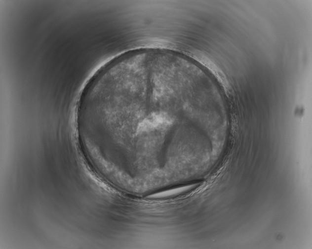 X0000097601120200803211653