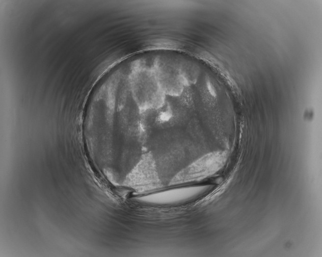 X0000097601121200803211653
