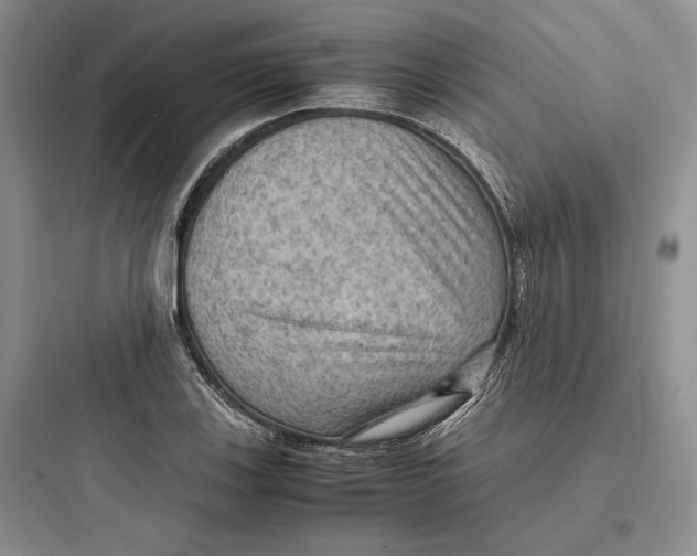 X0000097601123200803211653