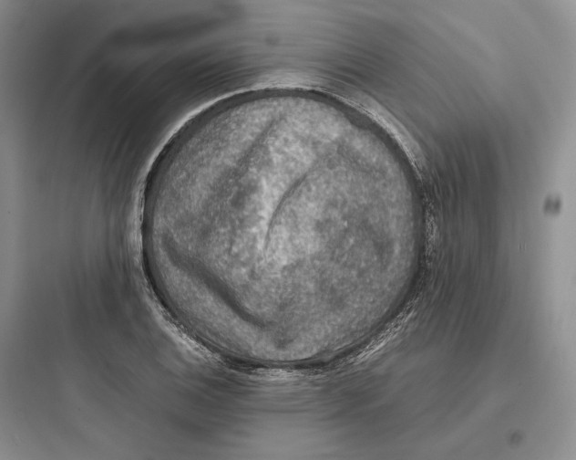 X0000097601124200803211653