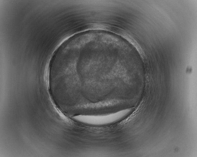 X0000097601127200803211653
