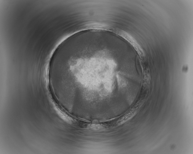 X0000097601128200803211653