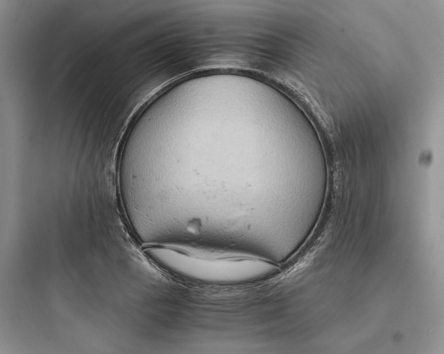 X0000097601129200803211653
