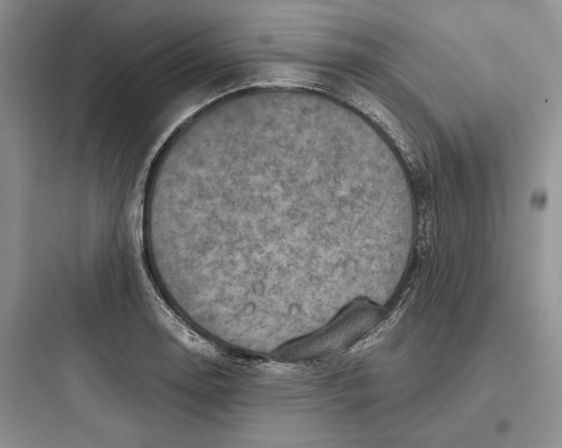 X0000097601130200803211653