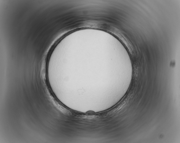 X0000097601131200803211653