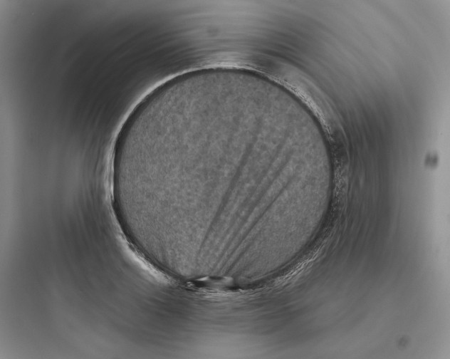 X0000097601132200803211653
