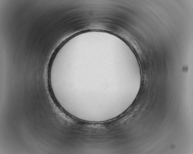 X0000097601133200803211653