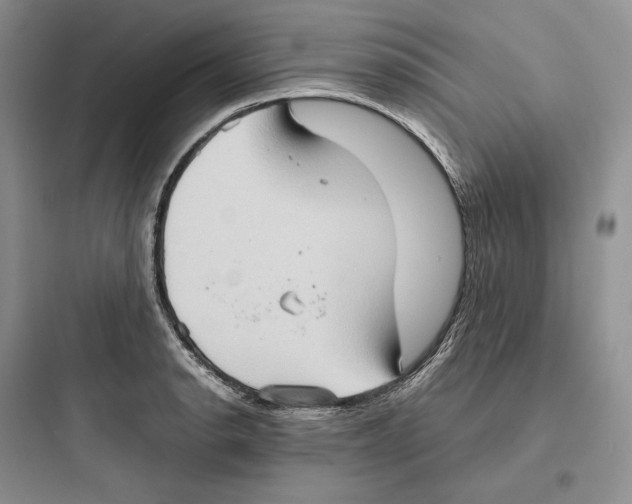 X0000097601134200803211653