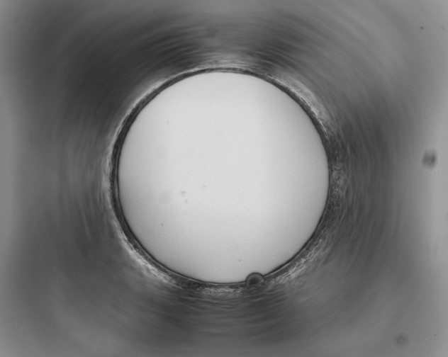 X0000097601135200803211653