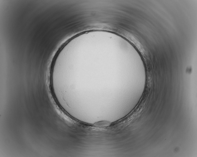 X0000097601136200803211653