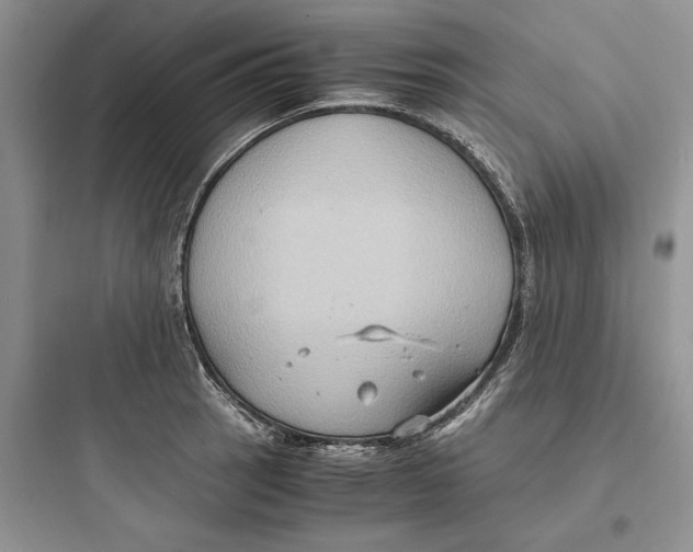 X0000097601137200803211653