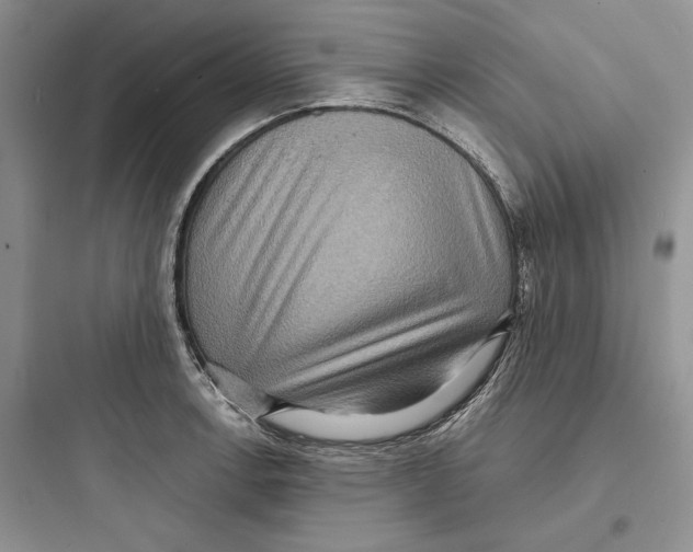 X0000097601138200803211653