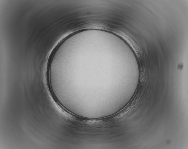 X0000097601139200803211653