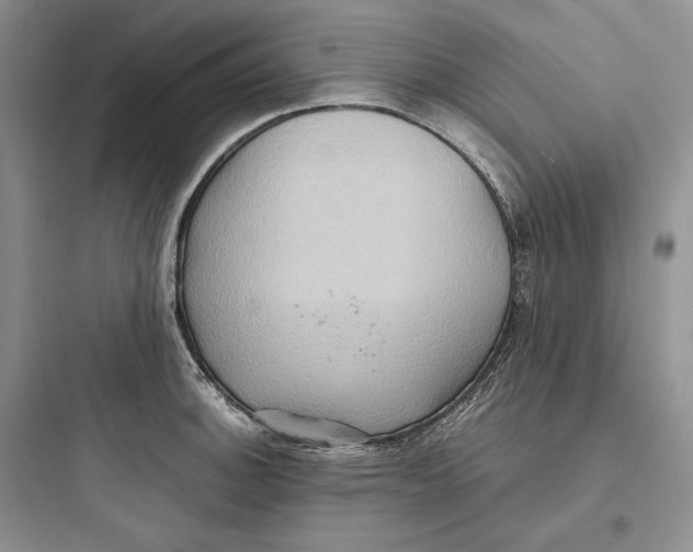 X0000097601140200803211653