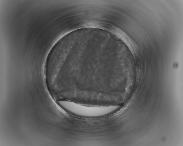 X0000097601141200803211653