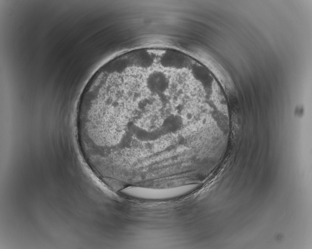 X0000097601142200803211653