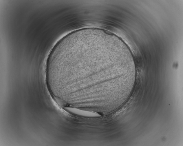 X0000097601143200803211653
